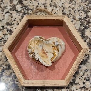 Heart-Shaped Shell Art in Hexagonal Frame